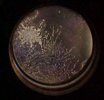 mold on lens